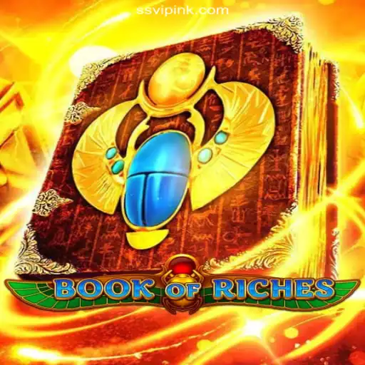 Discover the Excitement of BookofRiches: A Premier Gaming Experience